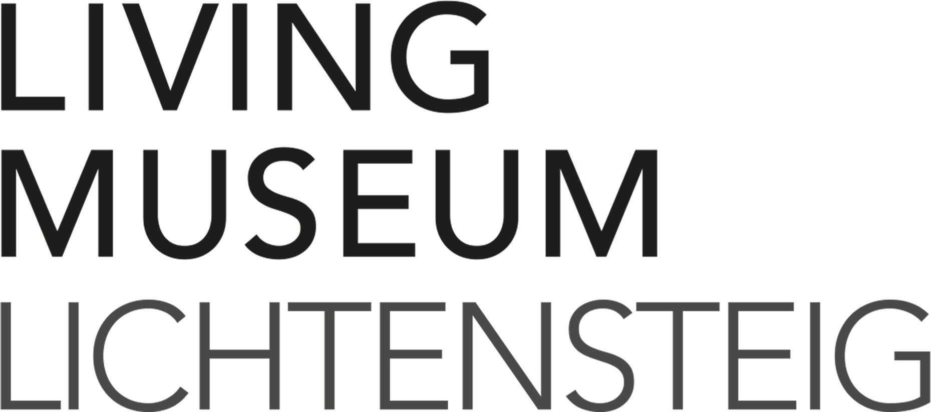 Living Museum Lichtensteig